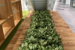 Sedgefield Interior Landscapes_Installation-18