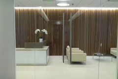 Update_Sedgefield-Interior-Landscapes_Artificial-43