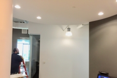 Sedgefield-Interior-Landscapes_Installations-1