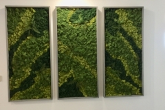 Sedgefield-Interior-Landscapes_Installations-2