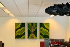 Sedgefield-Interior-Landscapes_Installations-9