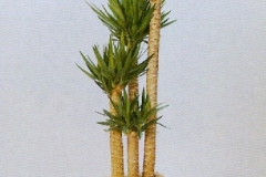 Sedgefield-Interior-Landscapes_Plant-High-Light-32