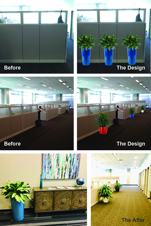 Design Budget Install_Sedgefield Interior Landscapes